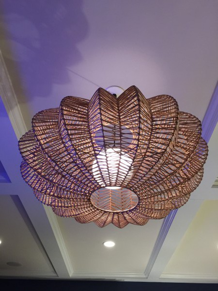 Love the new light fixture by....
